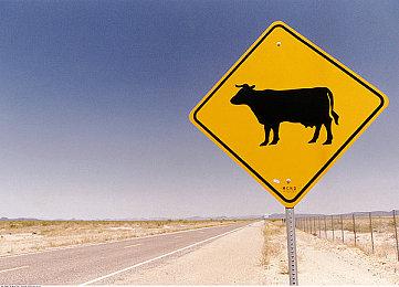 《JOJO的奇妙冒险：群星之战 重制版》乔尼·乔斯达预告 9月1日正式发售